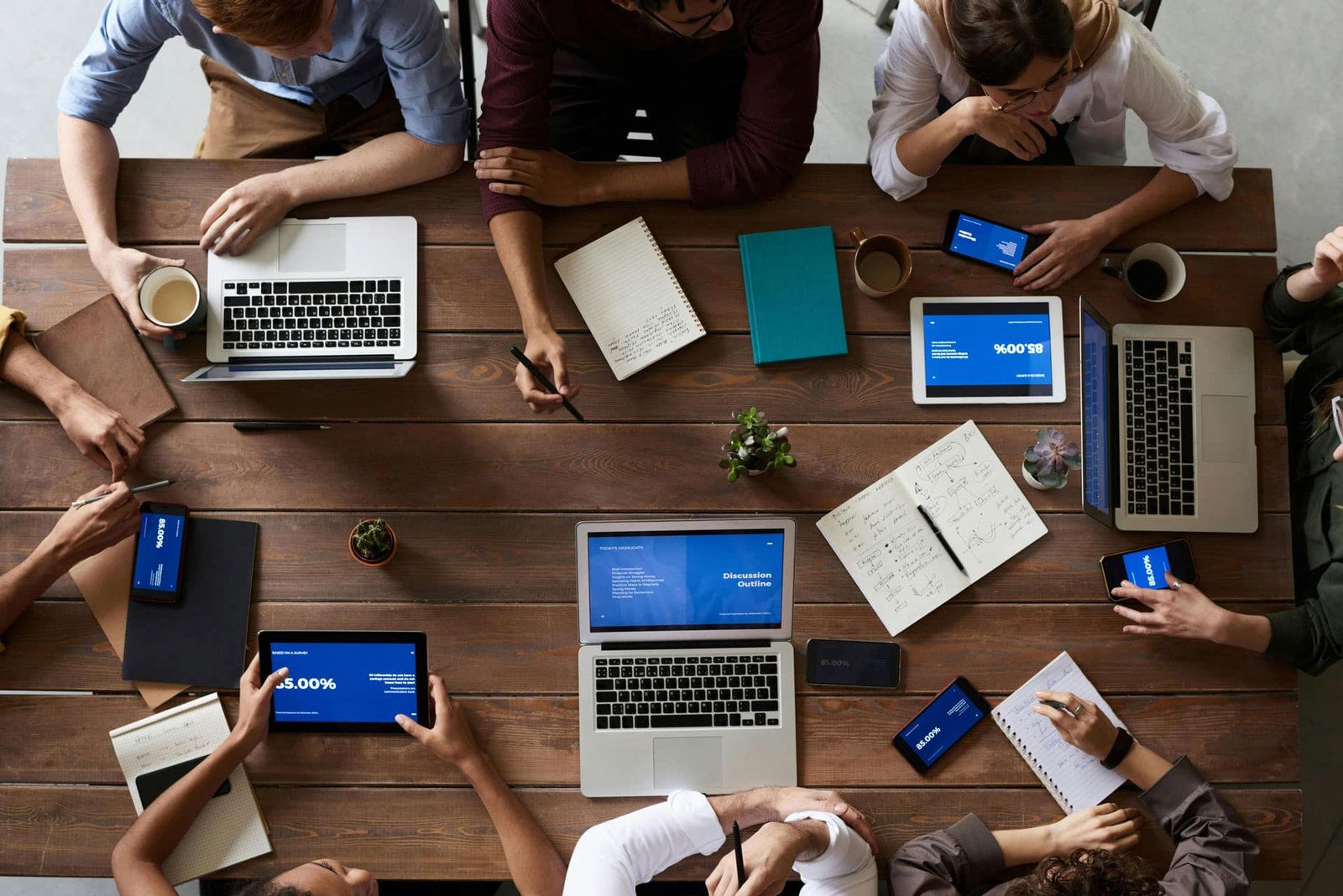 Development, design, marketing and support team
